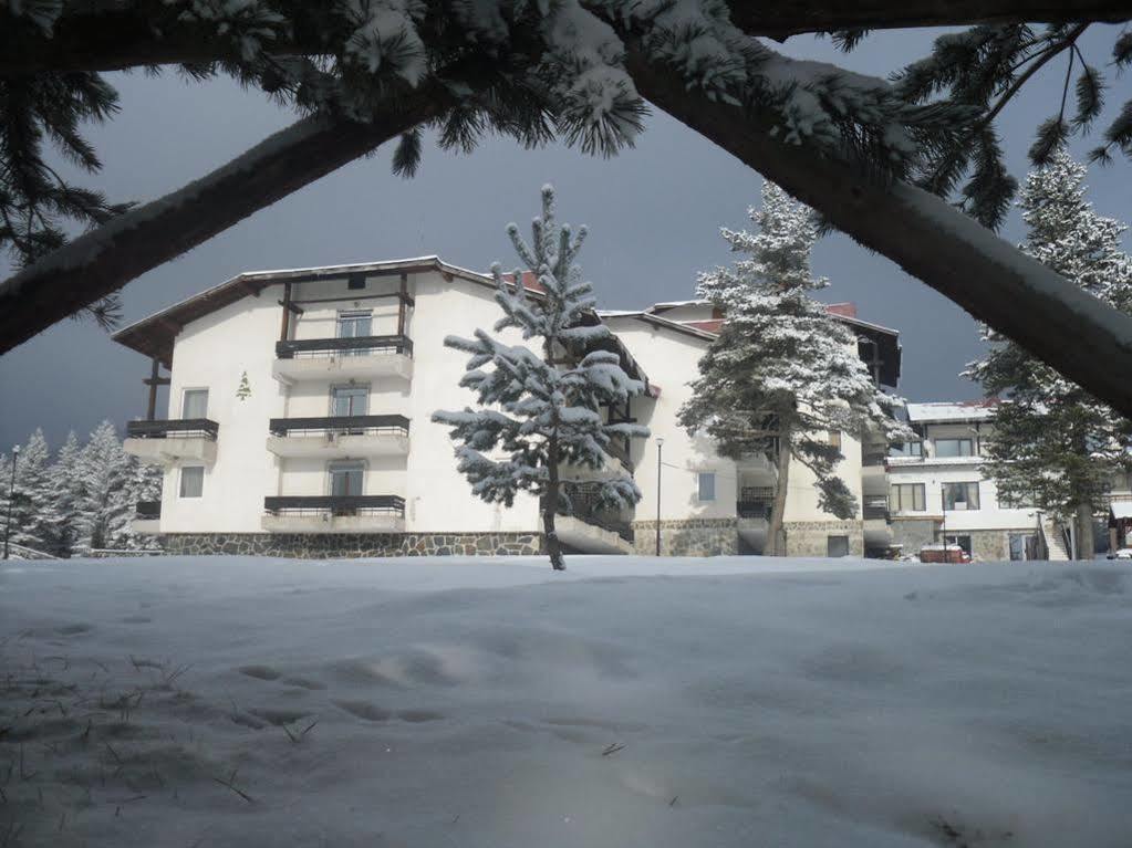 Belitsa  Bor Hotel מראה חיצוני תמונה